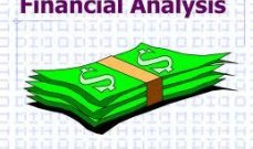 مقاربة التحليل التشريحي المالي