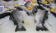 صادرات تركيا من أسماك البحر الأسود بلغت 96.5 مليون دولار