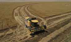 العراق يزيد رقعة زراعة القمح لنحو مليون فدان في 2022-2023