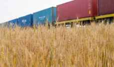 وزارة الزراعة الأوكرانية: جمع حوالي 3.6 مليون طن من صابة الحبوب لهذا الموسم