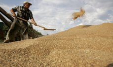 مؤسسة الحبوب في السعودية توافق على زيادة سعر شراء القمح المحلي بواقع 100 ريال للطن