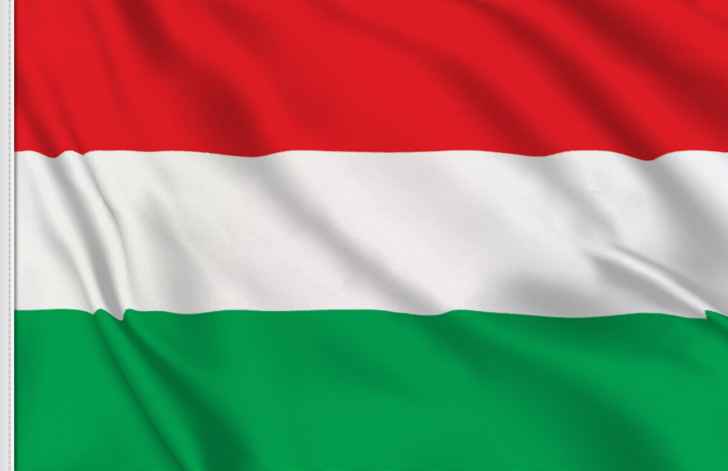 سلطات هنغاريا هددت باستخدام حق النقض ضد أي اقتراح أوروبي يؤدي إلى تقييد واردات الطاقة الروسية