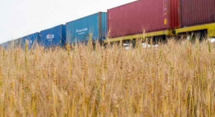 وزارة الزراعة الأوكرانية: جمع حوالي 3.6 مليون طن من صابة الحبوب لهذا الموسم