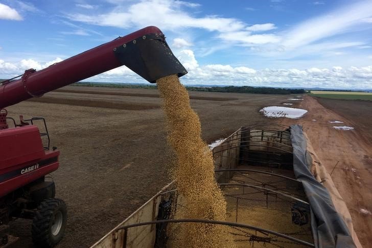 أسعار القمح الروسي ترتفع قرب أعلى مستوياتها منذ 2013 وسط مشاكل في الإمدادات