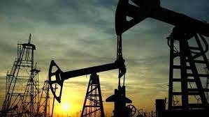 استقرار أسعار النفط بعد أن هوت بنحو 7% في الجلسة السابقة